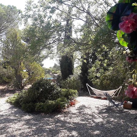 Chalet Les Cigalines Au Calme Fabrezan 外观 照片